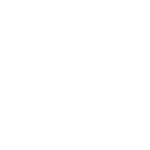 Festival_marvin